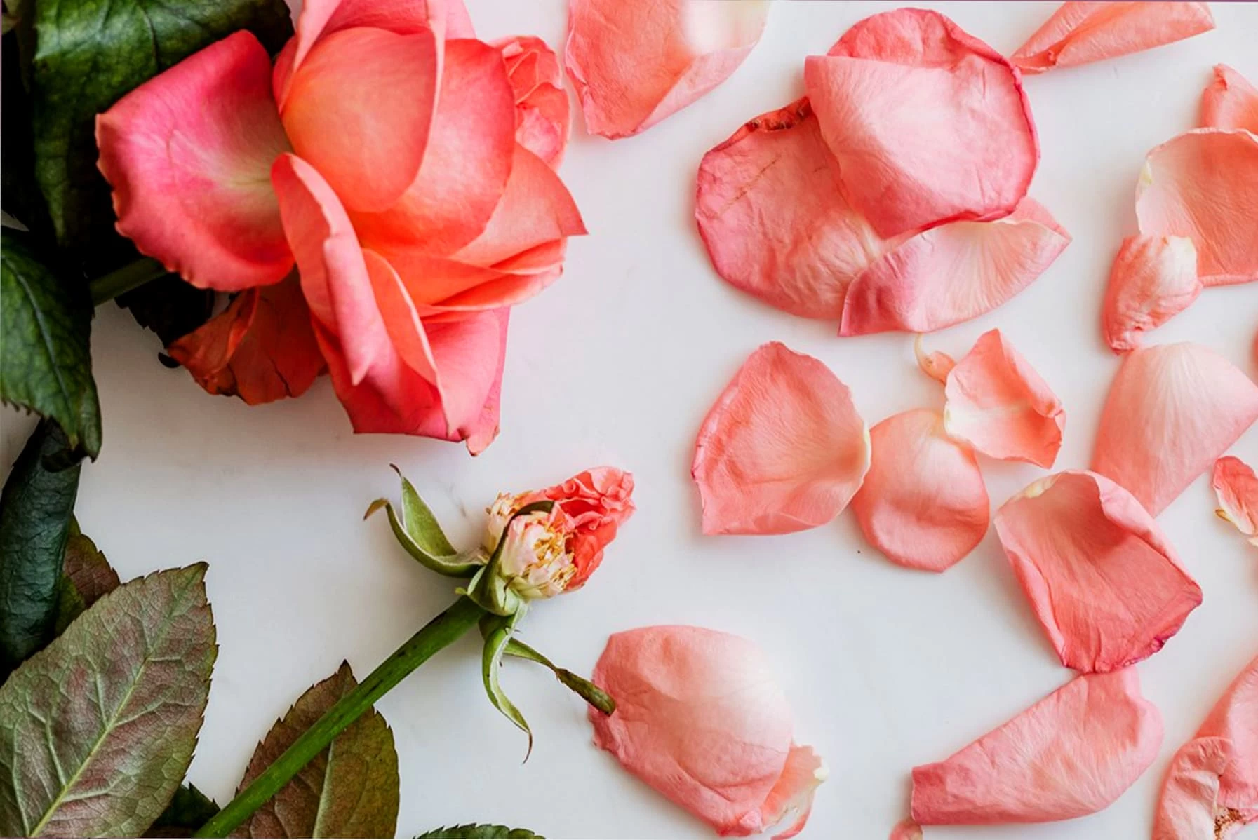 نصائح للزوجة للتخلص من الصفات السيئة